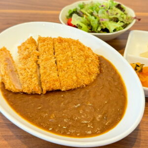 となみ野産たまねぎカレーカツのせ・ミニサラダ付き。富山県砺波市の定食・居酒屋サンタス食堂のフードメニュー。