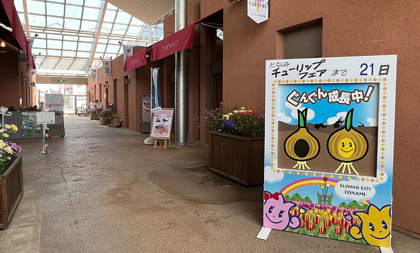 #アオイマルシェ。砺波市。チューリップ四季彩館。