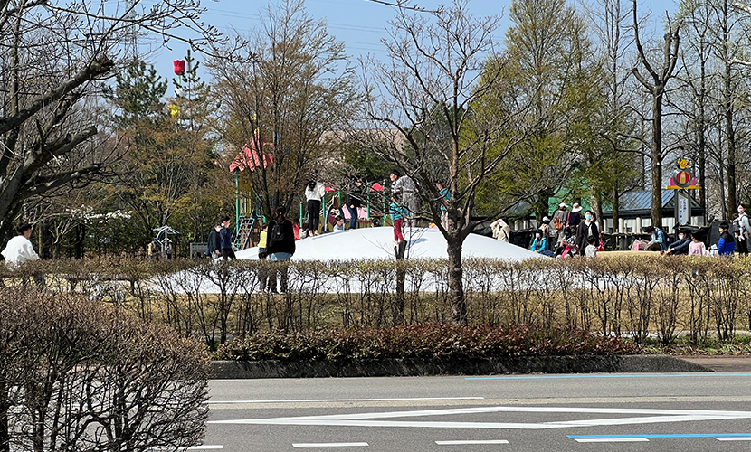 #アオイマルシェ。砺波市。チューリップ四季彩館。チューリップ公園。ふわふわドーム。