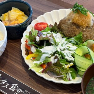 本日の定食（ごはん・味噌汁・漬物・小鉢付）。富山県砺波市の定食・居酒屋サンタス食堂のフードメニュー。
