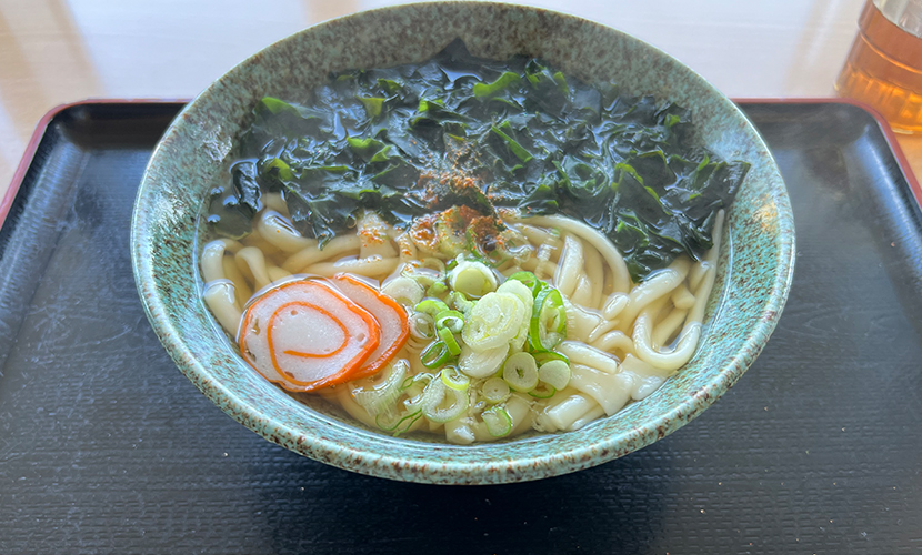 小矢部市。道の駅「メルヘンおやべ」。フードコート。メルヘン田舎。うどん。