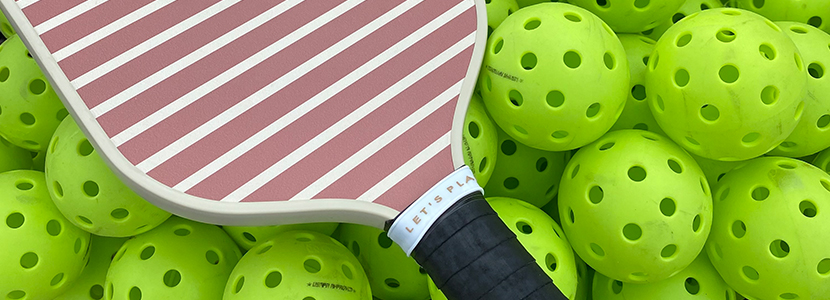 ピックルボール コート ラインセット 新品 Pickleball Store Dink