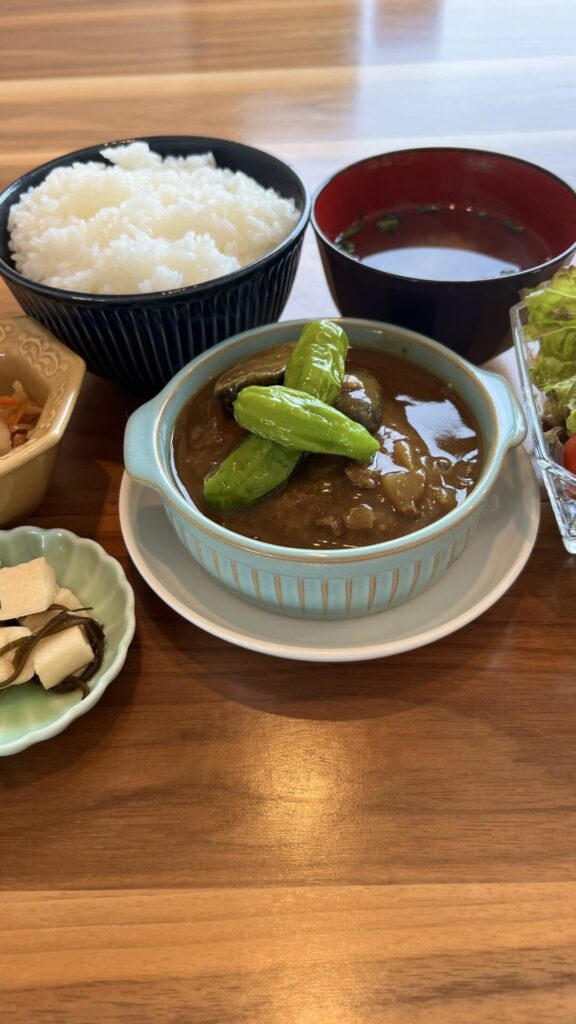 煮込みハンバーグカレーソース定食。富山県砺波市の定食・居酒屋サンタス食堂のフードメニュー。