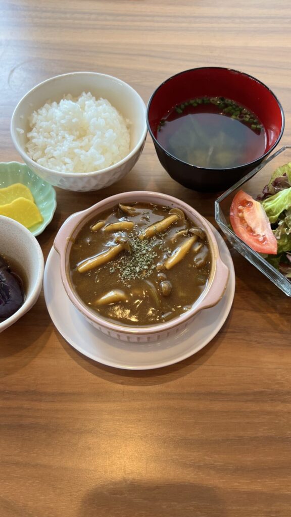 煮込みハンバーグカレーソース定食。富山県砺波市の定食・居酒屋サンタス食堂のフードメニュー。定食。富山県砺波市の定食・居酒屋サンタス食堂のフードメニュー。
